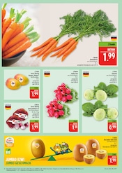 Aktueller Marktkauf Prospekt mit Mango, "AUSWAHL RIESIG, PREISE NIEDRIG", Seite 12