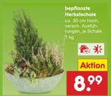 bepflanzte Herbstschale im Angebot bei Netto Marken-Discount in Hürth bepflanzte Herbstschale Angebote bei Netto Marken-Discount Hürth für 8,99 €