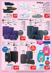 Aktueller Marktkauf Prospekt mit Schuhe, "AUSWAHL RIESIG, PREISE NIEDRIG", Seite 41