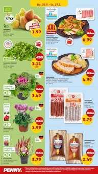 Schweinefleisch im Penny Prospekt "Wer günstig will, muss Penny." mit 38 Seiten (Krefeld)