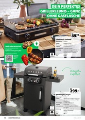 Aktueller Hagebaumarkt Prospekt mit Elektrogrill, "Grillen", Seite 10