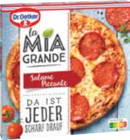 La Mia Grande, La Mia Familia oder Ristorante glutenfrei im Angebot bei EDEKA in Rostock La Mia Grande, La Mia Familia oder Ristorante glutenfrei Angebote von Dr. Oetker bei EDEKA Rostock für 3,49 €