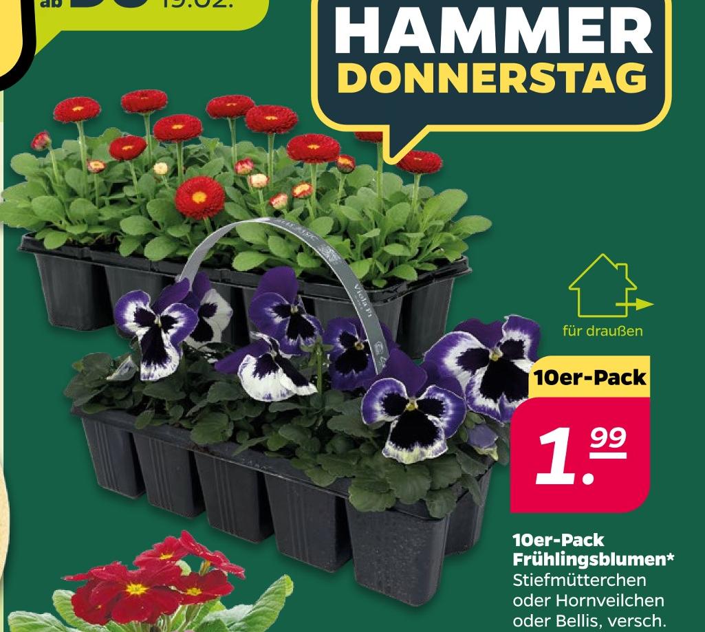 10er-Pack Frühlingsblumen