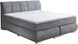 Boxspringbett im Angebot bei XXXLutz in Salzgitter Boxspringbett Angebote von CARRYHOME bei XXXLutz Salzgitter für 1.199,00 €