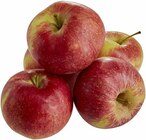 Äpfel Santana im Angebot bei Marktkauf in Nürtingen Äpfel Santana Angebote von Unsere Heimat Bio bei Marktkauf Nürtingen für 2,49 €