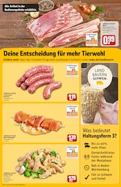 Aktueller REWE Prospekt mit Bratwurst, "Dein Markt", Seite 13