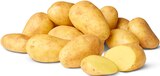 Speisefrühkartoffeln bei Penny-Markt im Bad Reichenhall Prospekt für 1,79 €
