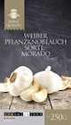 Weißer Pflanzknoblauch im Angebot bei Thomas Philipps in Nürnberg Weißer Pflanzknoblauch Angebote von Weiber bei Thomas Philipps Nürnberg für 2,99 €