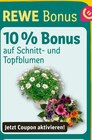 REWE Gingen (Fils) Prospekt mit  im Angebot für 