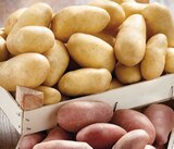 Promo Pommes de terre de consommation à chair ferme à 1,69 € dans le catalogue Intermarché Contact à Randan