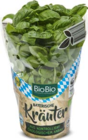 Kräutertopf im Netto Marken-Discount Prospekt Kräutertopf von BioBio im aktuellen Netto Marken-Discount Prospekt für 2,50 €