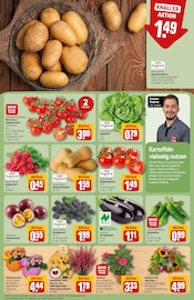 Kürbis im REWE Prospekt in Heidenheim Aktueller REWE Prospekt mit Kürbis, "Dein Markt", Seite 9