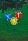 Solar-Luftballon Angebote von GARDEN DREAM bei Netto mit dem Scottie Freiberg für 7,99 €