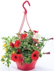 Plante extérieure en suspension - Lidl à Le Mans Plante extérieure en suspension en promo chez Lidl Le Mans à 5,99 €