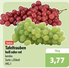Tafeltrauben hell Angebote bei aktiv & irma Oldenburg für 3,77 €
