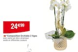 Composition Orchidée 2 tiges en promo chez Carrefour Issy-les-Moulineaux à 24,99 €