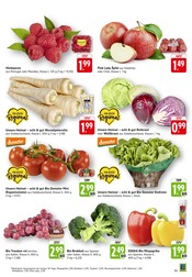 Blumen im E center Prospekt in Filderstadt Aktueller E center Prospekt mit Blumen, "Aktuelle Angebote", Seite 3