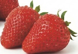 combi Emsdetten - Erdbeeren Angebot im Prospekt Erdbeeren bei combi im Emsdetten Prospekt für