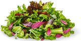 Deutscher mediterraner Pflücksalat im Angebot bei Penny in Potsdam Deutscher mediterraner Pflücksalat Angebote von Marktliebe bei Penny Potsdam für 0,99 €