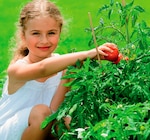 Plants de légumes Kids en promo chez Norma Plants de légumes Kids dans le catalogue Norma