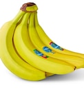 Bananen im aktuellen Prospekt bei Penny-Markt in Rickert