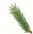 Breath of Paradise Côtes de Provence AOP, Roséwein, trocken für 8,99 € bei Lidl im Angebot Breath of Paradise Côtes de Provence AOP, Roséwein, trocken im aktuellen Lidl Prospekt