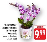 E center Nürtingen Prospekt mit  im Angebot für 9,99 €