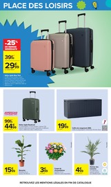 Promos Chrysanthèmes dans le catalogue "LE MOIS MONOPOLY" de Carrefour Chrysanthèmes en promo dans le catalogue Carrefour à la page 71
