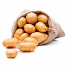 Bio Kartoffeln im Angebot bei Marktkauf in Maintal Bio Kartoffeln Angebote von Bioland bei Marktkauf Maintal