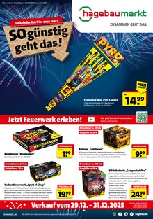 Aktueller Hagebaumarkt Prospekt "So günstig geht das!" Seite 1 von 4 Seiten