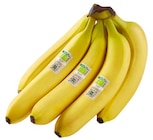 Bio Bananen im Angebot bei REWE in Detmold Bio Bananen Angebote von Rewe Bio bei REWE Detmold für 1,79 €