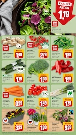 Ähnliche Bonsai Angebote im Prospekt "Dein Markt" von REWE in Offenbach Ähnliche Angebote wie Bonsai im Prospekt "Dein Markt" auf Seite 7 von REWE in Offenbach