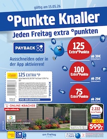 Katzenfutter im Netto Marken-Discount Prospekt "Aktuelle Angebote" mit 62 Seiten (Berlin)