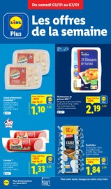 Lait Angebote im Prospekt "Économies XXL" von Lidl auf Seite 10