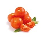 Tomaten im aktuellen Netto mit dem Scottie Prospekt