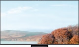 QD-Mini LED TV 75MQLED75L Angebote von TCL bei expert Arnstadt für 699,00 €