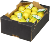 Aktuelle Zitronen Angebote bei METRO in Nürnberg Aktuelles Bio Zitronen Angebot bei METRO in Nürnberg ab 1,24 €