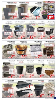 Blumenkasten im CENTERSHOP Prospekt "Da geht was." mit 20 Seiten (Essen)