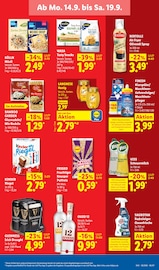 Öl im Lidl Prospekt in Potsdam Aktueller Lidl Prospekt mit Öl, "LIDL LOHNT SICH", Seite 19