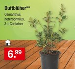 Aktuelle Zimmermann Angebote bei Zimmermann in Hannover Aktuelles Duftblüher Angebot bei Zimmermann in Hannover ab 6,99 €