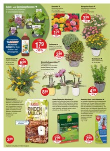 Blumen im V-Markt Prospekt "V-Markt einfach besser einkaufen" mit 29 Seiten (München)