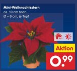 Mini-Weihnachtsstern im Netto Marken-Discount Prospekt Mini-Weihnachtsstern von im aktuellen Netto Marken-Discount Prospekt für 0,99 €