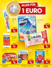 Hering im Netto Marken-Discount Prospekt "Aktuelle Angebote" mit 61 Seiten (Wuppertal)