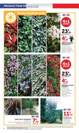 Fleurs Angebote im Prospekt "Super U" von Super U auf Seite 2