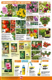 Geranien im OBI Prospekt "FÜRS MACHEN GEMACHT" mit 5 Seiten (Erfurt)