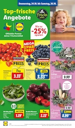 Lidl Blaubeeren im Prospekt 