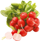 Netto mit dem Scottie Stendal (Hansestadt) Prospekt mit  im Angebot für 0,69 €