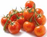 Mini Roma Tomaten von GO BIO für 1,89 € bei Netto mit dem Scottie im Angebot Mini Roma Tomaten von GO BIO im aktuellen Netto mit dem Scottie Prospekt
