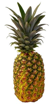 Costa-rican Ananas Angebote von SanLucar bei Kaufland Gera für 3,33 €