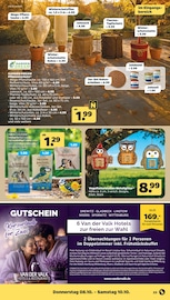 Pflanzen im Netto mit dem Scottie Prospekt in Brandenburg Aktueller Netto mit dem Scottie Prospekt mit Pflanzen, "Günstig. Besser. Für Dich.", Seite 31